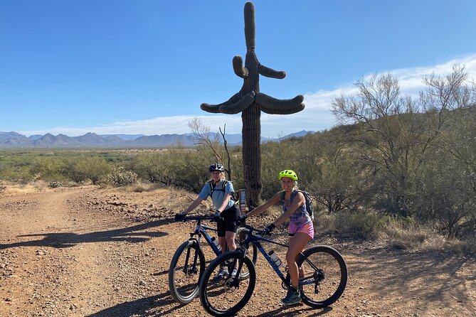 3 Hour Sonoran Desert Private Guided Mountain Bike Tour - Traveler Testimonials and Feedback