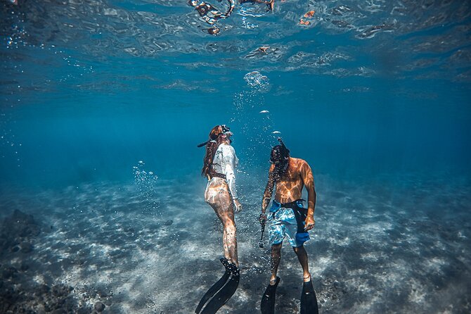 4 Hour Private Custom Kayak Tour Lahaina - Customer Reviews and Feedback
