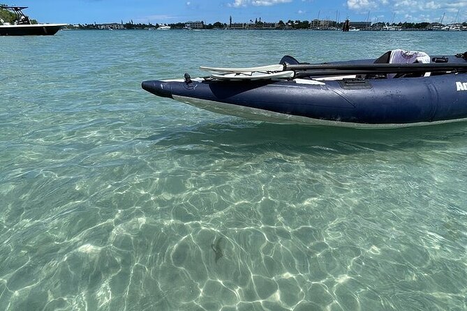 6-Hr Tropical Mangroves, Coastal River and Ocean Wildlife Watch - Booking Information and Policies