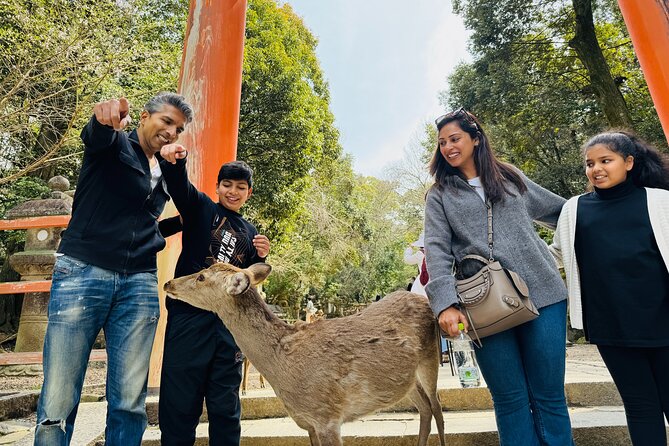 7hr Private Guided Van Tour Nara & Matcha Farm - Savoring the Special Tea Lunch Set
