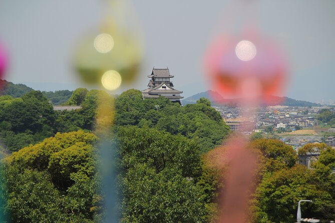 A Fun Car Tour to Inuyama Castle and a Phallus - Flexible Booking and Cancellation Policy