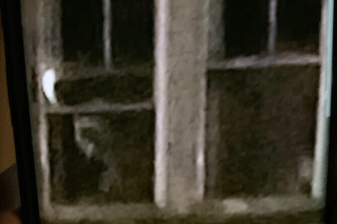 A Ghost Hunting Tour Specters and Apparitions in Salem - Customer Reviews and Feedback