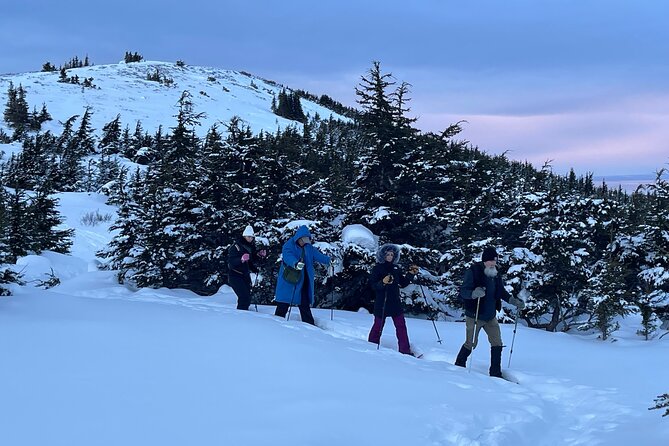 Advanced Snowshoeing Adventure - The Sum Up