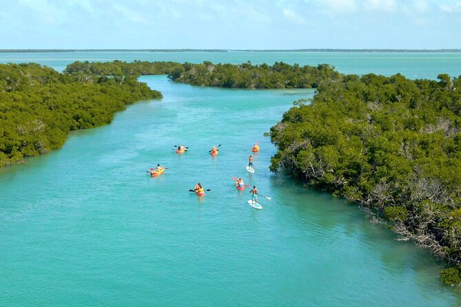 All Inclusive Kayak Eco-Tour: Mangrove and Sandbar Adventure - Getting to the Meeting Point
