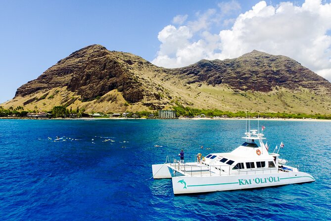 All-Inclusive Sunset Dolphin Watch and Snorkeling Cruise - The Sum Up