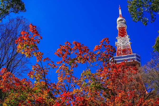 All Inclusive・Private Tour Make Your Own Tokyo Adventure - Making the Most of Your Tokyo Adventure