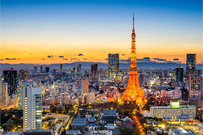 All Inclusive・Private Tour Tokyo Night Drive on a Luxury Car - Flexibility and Cancellation Policy