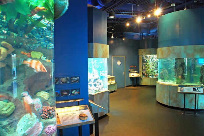 Aquarium of the Bay General Admission Ticket - Planning Your Visit