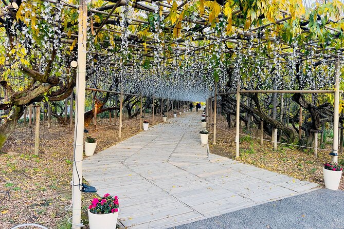 Ashikaga Flowers Park and Sano Outlets Private Day Tour - Recommended Packing and Attire
