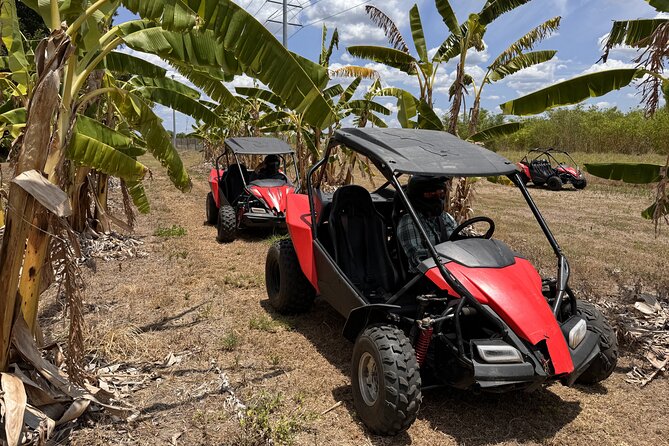 Bamboo Dune Buggy Tour - Recommendations and Additional Info