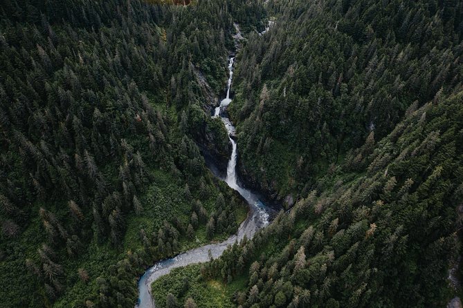 Bear Glacier Scenic Signature Flight - Customer Testimonials