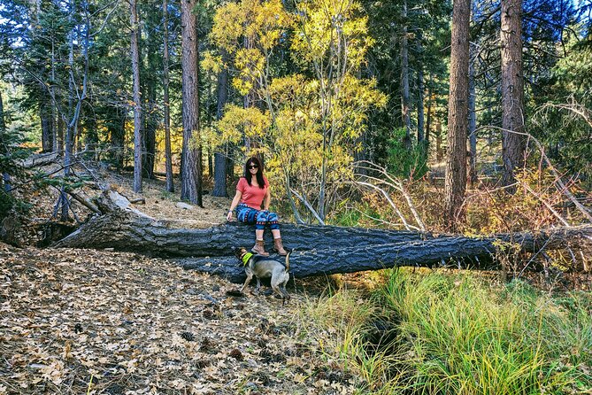 Big Bear Fall Colors Hiking Tour in Southern California - Experience the Beauty of Big Bear in Autumn