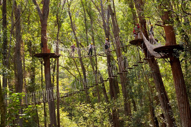 Big Island Kohala Zip and Dip Tour From Kona - Customer Testimonials and Feedback