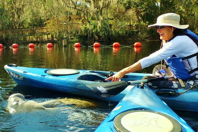 Blue Springs Manatee Tours & Wildlife Adventure Orlando - The Sum Up