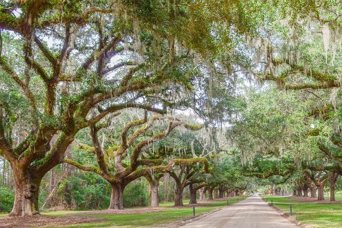 Boone Hall Plantation All-Access Admission Ticket - Planning Your Visit to Boone Hall Plantation