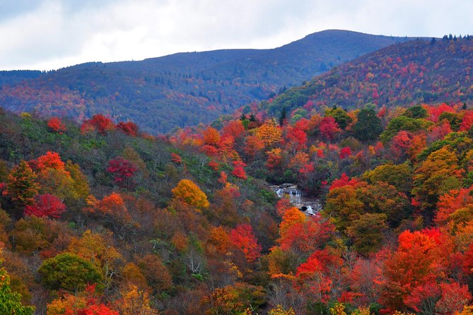 Carolina Waterfalls and Highlands Private VIP Boutique Tour - Hiking the Whiteside Mountain Trail