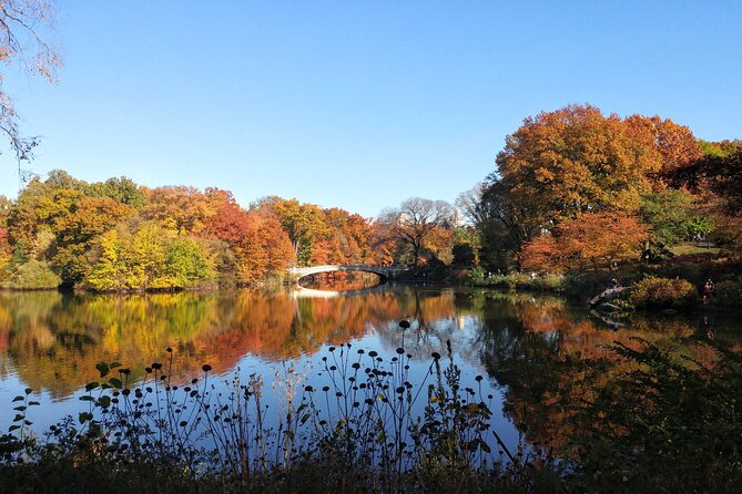 Central Park Walking Tour: Scandal and Vice - The Sum Up