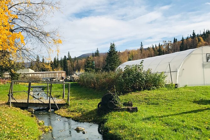 Chena Hot Spring Day Tour - Tips for an Enjoyable Experience