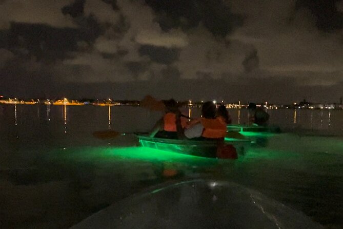 Clear Kayak Private Guided Day and Night Tours in Florida - The Sum Up