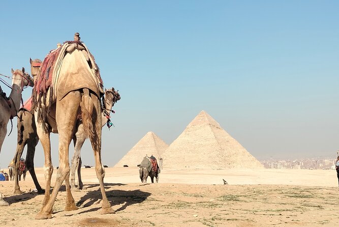 Day Tour To Giza Pyramids, Memphis City, Dahshur And Sakkara - Customer Reviews and Ratings