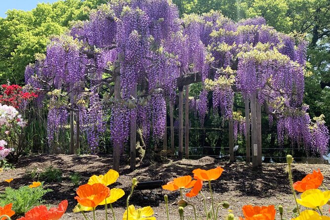Day Trip Ashikaga Flower Park by Private Car From Tokyo - Additional Information