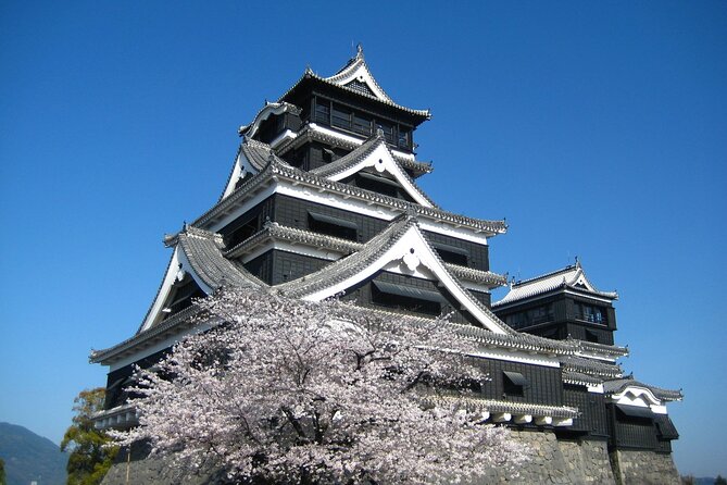Discover the Wonders of Kumamoto Tour Ramen Lunch Included - Experience the Vibrant Kumamon Square