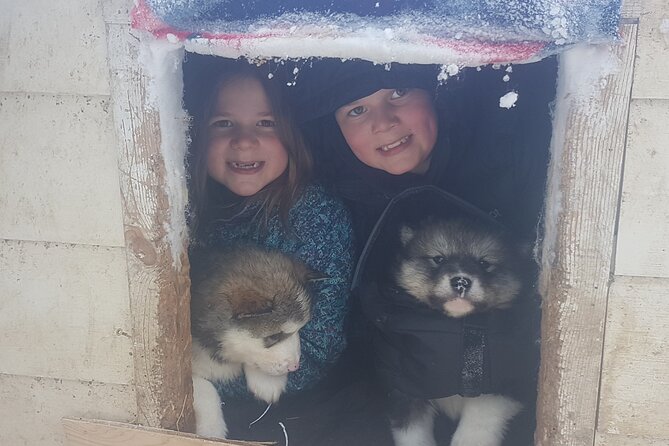 Dog Sled Adventure - Dressing for the Ride