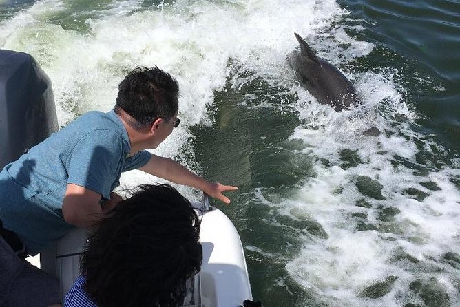 Dolphin Tours - Fort Myers Beach / Naples - Dolphin Conservation Efforts