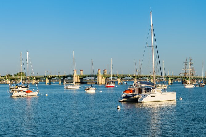 Dolphin Watch & Historical Harbor Tour in St. Augustine - Feedback and Traveler Reviews