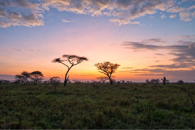 Durban: Big 5 Luxury Safari at an Award Winning Game Reserve — Zeiss Binoculars - Guiding Expertise
