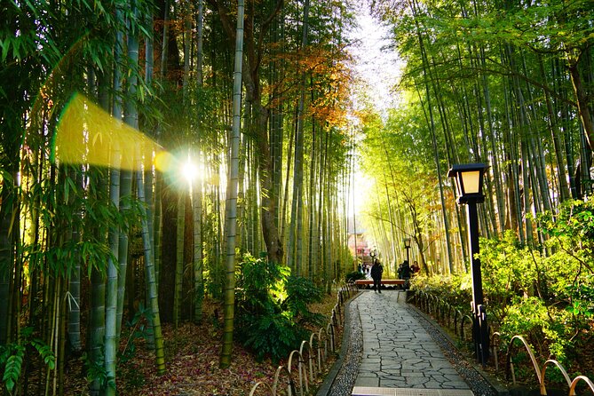 Early Blooming Cherry Blossoms & Fruit Picking 1DAY Tour - Experiencing the Izu Panorama Park Ropeway