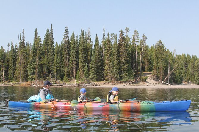 Early Morning Guided Kayak Tour - What to Expect During the Tour