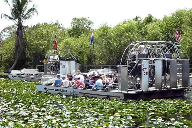 Everglades Tour in Miami - The Sum Up