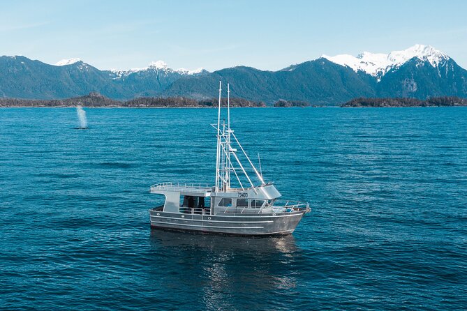Experience Local Marine Wildlife Tour - How to Reserve Your Spot