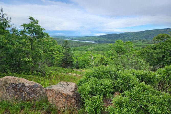 Fat Tire E-Bike Rental in Bar Harbor - Navigating the E-Bike Experience
