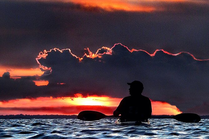 Florida Bioluminescence Clear Kayak Tour | Cocoa Beach (Kiwanis Island) - Highlights of the Clear Kayak Tour