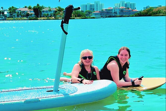 Fly Above Ocean Adventure in Sarasota! - The Sum Up