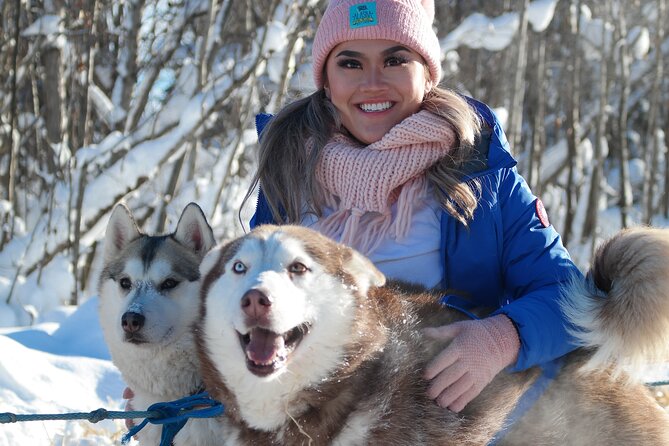 Free Pickup - Alaskan Husky Dog Sledding With Free Photo Service - Group Size and Hands-on Experience