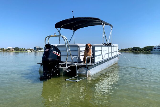 Frisky Mermaid Pontoon Boat Rentals in Pensacola Beach - Customer Feedback and Recommendations