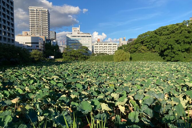 Fukuoka City Walking and Public Transport Tour - Discovering Fukuokas Highlights