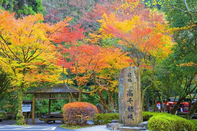 Fukuoka to Takachiho Shrine Tour With Optional Beef Lunch - Additional Information