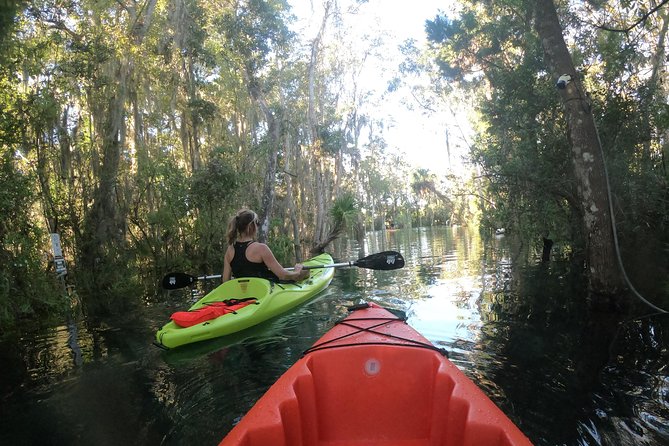 Full Day Single Kayak Rental In Crystal River - Tips for an Enjoyable Kayak Adventure