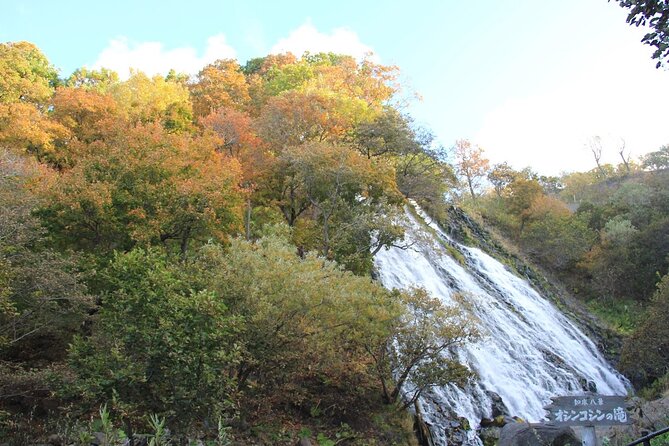 Full-day Tour in Hokkaido Natural Heritage Shiretoko Adventure - Guidelines for Behavior