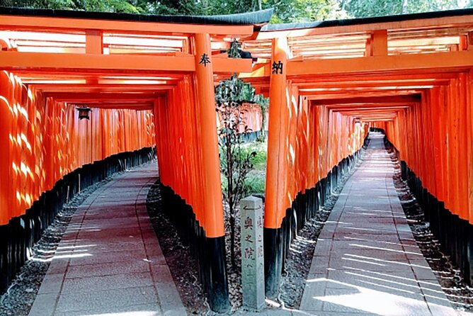 Fushimi Inari Deep Shinto Shrine Tour While Hiking With Expert - Tips for a Memorable Experience