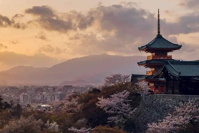 Fushimi Inari Shrine and Nara Park Day Tour From Osaka and Kyoto - Highlights of the Tour