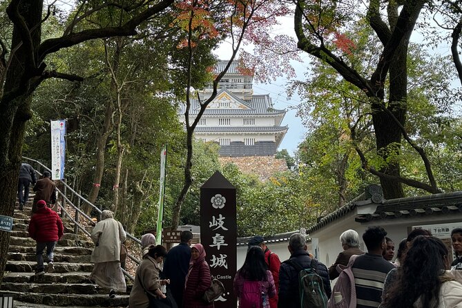 Gifu Half Day Private Tour Castle, Great Buddha and Old Town - Lunch and Additional Information