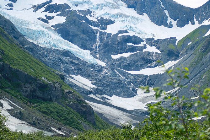 Glacier View & Wildlife Anchorage Adventure Tour - Booking Flexibility