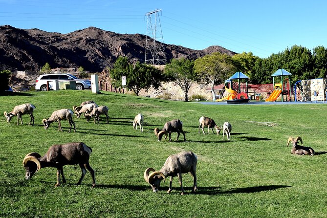 Grand Canyon West Plus Hoover Dam VIP Day Tour From Las Vegas - Why Choose This Tour?