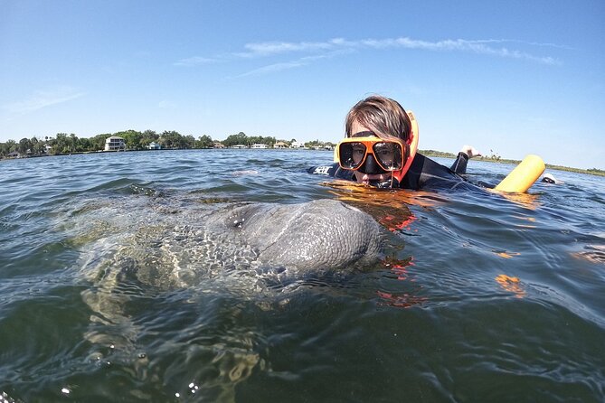 Guided Crystal River Manatee Snorkeling Tour - Preparing for Your Adventure