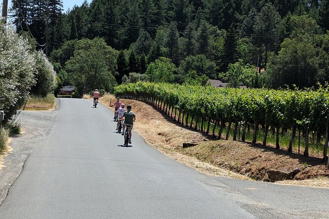 Guided Electric Bike Wine Tour Through Sonoma County - Booking and Cancellation Policies